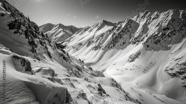 Obraz Snow-Covered Mountain Valley in Black and White