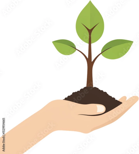 Obraz 식목일,나무심기,나무,새싹,땅,흙,나뭇잎,나무,나뭇가지,묘목,식물,정원