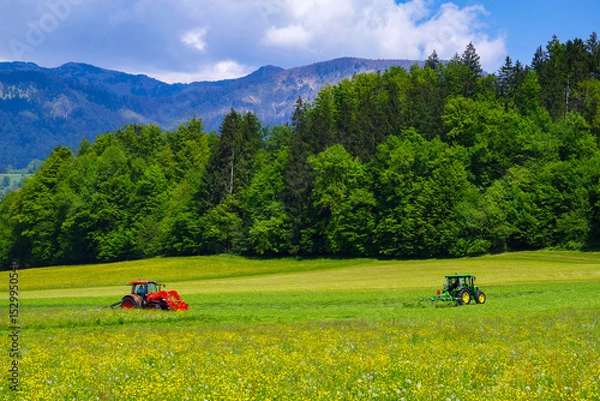 Fototapeta Scene of a tractor on a lawn in front of the Julian Alps, Kamnic, Slovenia, Europe