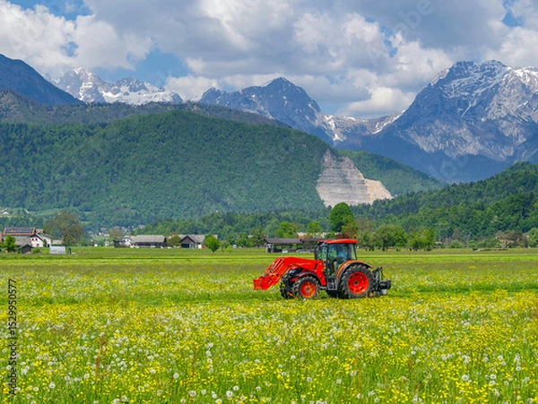 Fototapeta Scene of a tractor on a lawn in front of the Julian Alps, Kamnic, Slovenia, Europe