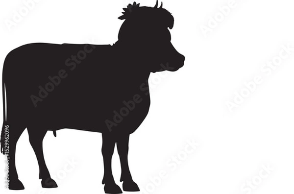 Obraz silhouette of a axe