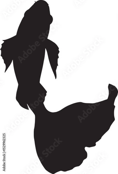 Obraz silhouette of a fish with wings