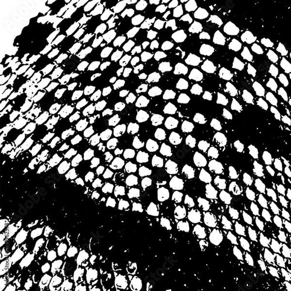 Obraz Snake skin monochrome background. Not AI, Vector illustration