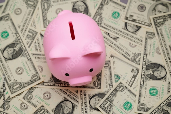 Fototapeta A pink piggy bank is placed in the center of a pile of dollar bills, representing savings and financial management. This setup highlights the importance of budgeting and saving.