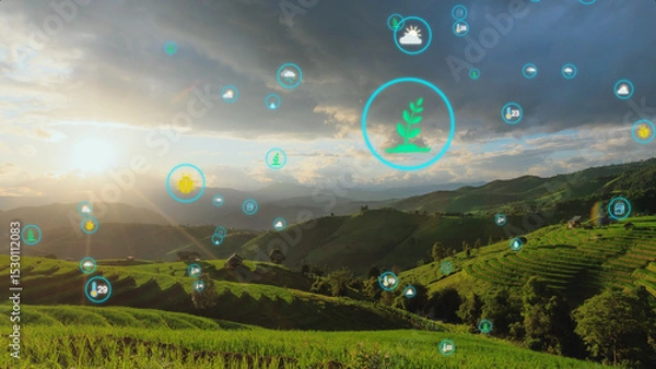 Fototapeta Innovative Agriculture Technology with Data Visualization Symbols Over Lush Green Terraces: Advanced Farming in the Digital Age