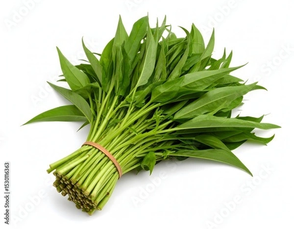 Fototapeta A bunch of fresh water spinach or morning glory tied together with a rubber band Isolated on white background