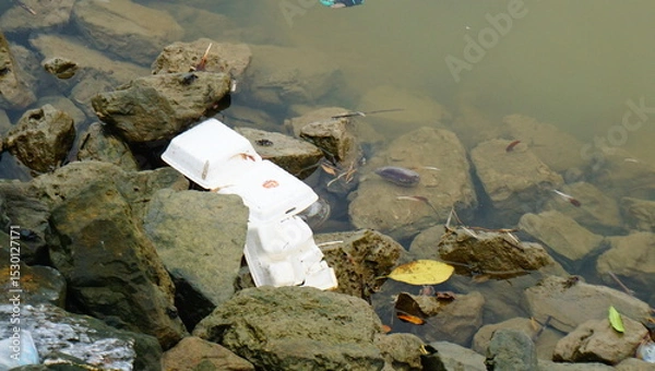 Obraz waste in the beach