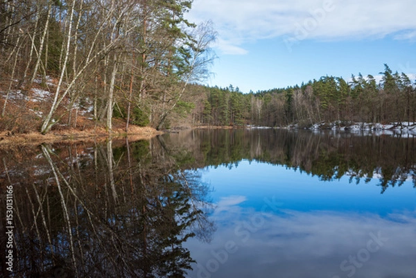 Obraz Barsjön lake with reflections of a mixed forest and a snowy bank under a blue sky in Vedema, Hässleholm, Sweden