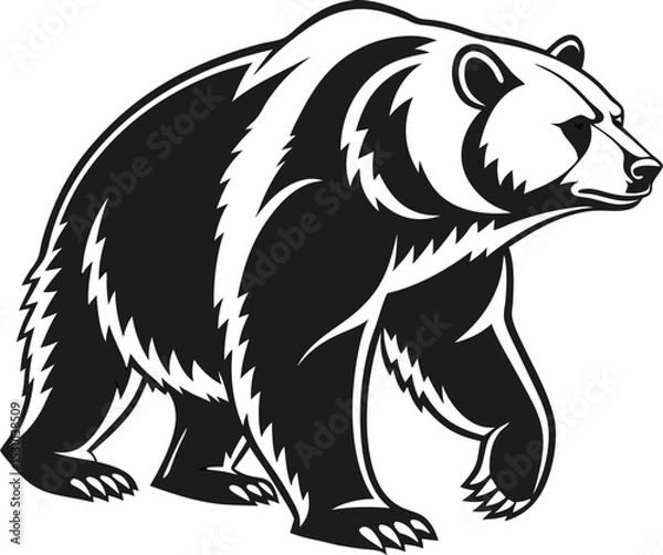 Fototapeta bear vector illustration