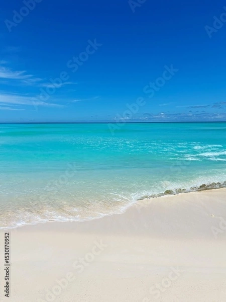 Obraz ニューカレドニアのウベア島の海の砂浜と波（縦画像）