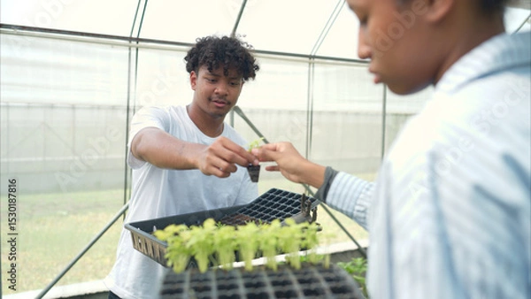 Fototapeta Two young people in a greenhouse discussing seedling growth while holding trays of sprouts