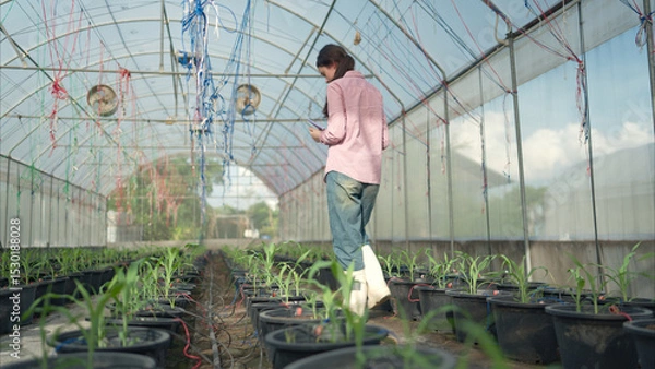Fototapeta Portrait of young people examining plants in a greenhouse, learning about sustainable