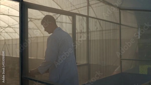 Fototapeta A scientist in a lab coat uses a tablet inside a greenhouse