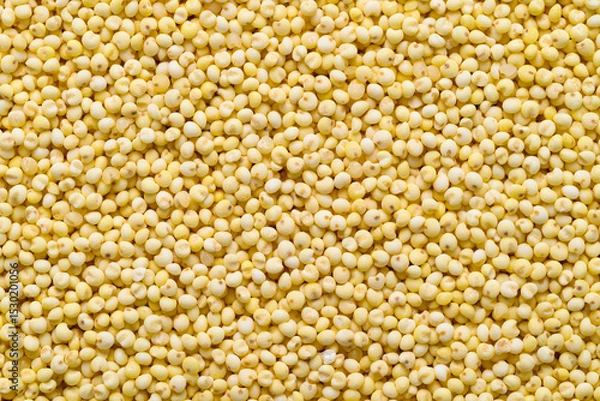 Obraz Yellow millet grain texture background, Food ingredient