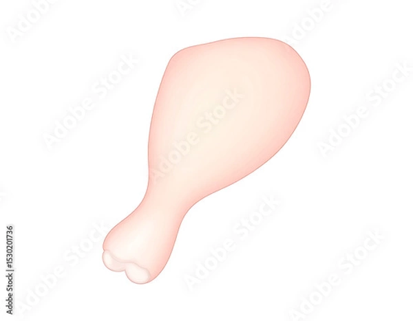Fototapeta A piece of chicken thigh isolated on a transparent background