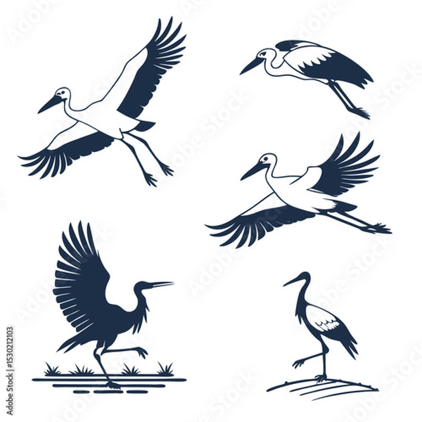 Fototapeta Elegant vector illustrations of storks in various poses including flying and walking silhouettes
