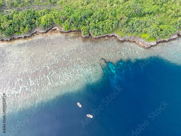 Obraz Healthy coral reefs surround the islands within Wakatobi National Park, off the coast of Sulawesi. This area is a popular destination for divers and snorkelers due to its high marine biodiversity.