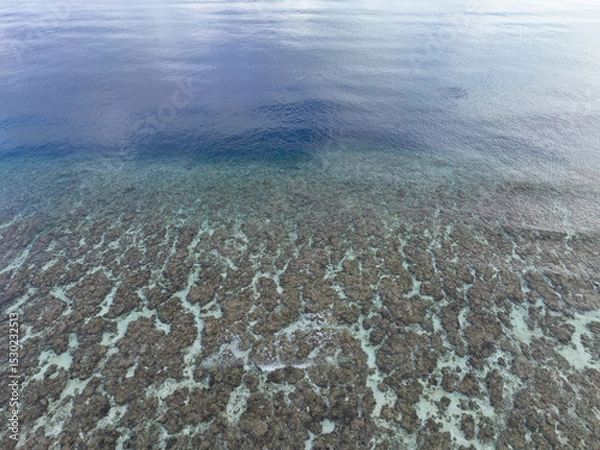 Obraz Healthy coral reefs surround the islands within Wakatobi National Park, off the coast of Sulawesi. This area is a popular destination for divers and snorkelers due to its high marine biodiversity.