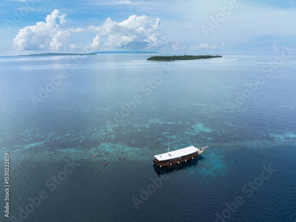 Obraz Coral reefs and seagrass surrounds an island within Wakatobi National Park, off the coast of Sulawesi. This area is a popular destination for divers and snorkelers due to its high marine biodiversity.