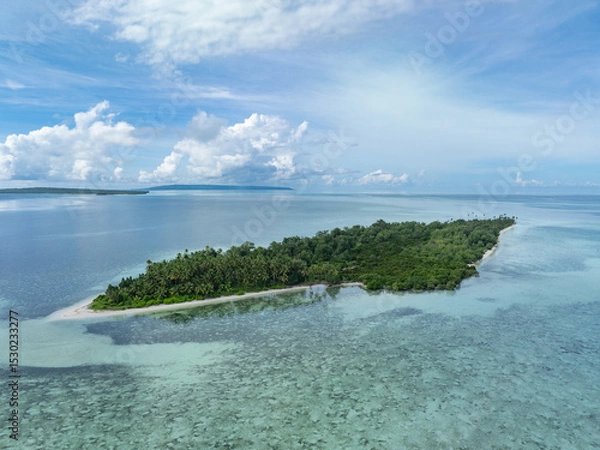 Obraz Coral reefs and seagrass surrounds an island within Wakatobi National Park, off the coast of Sulawesi. This area is a popular destination for divers and snorkelers due to its high marine biodiversity.