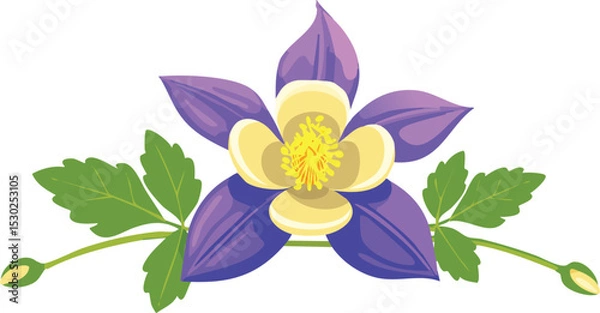 Obraz Flower columbine aquilegia. Vector sketch illustration. Botanical outline doodle drawing. Nature contour hand drawn columbine aquilegia vector. outline, art, illustration, flower, nature, vector,