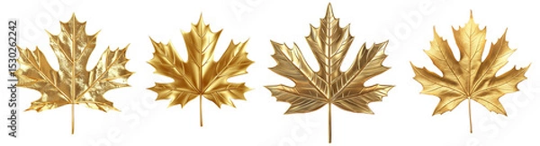 Obraz Collection set of Golden maple leaf isolated on white background, cut out png