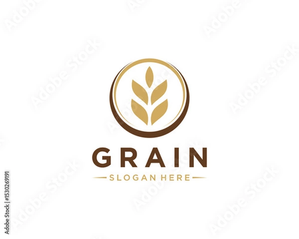 Obraz Circle grain logo