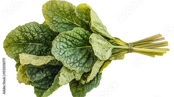 Obraz fresh green leaves