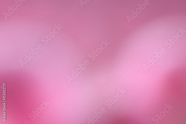 Obraz rosa Hintergrund unscharf