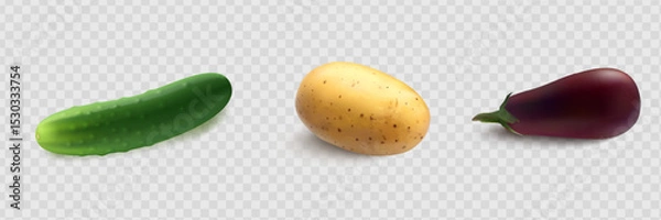 Fototapeta Cucumbers, coriander seeds, onions, potatoes, lettuce, zucchini, corn, tomato, asparagus. Vegetables 3d realistic vector set