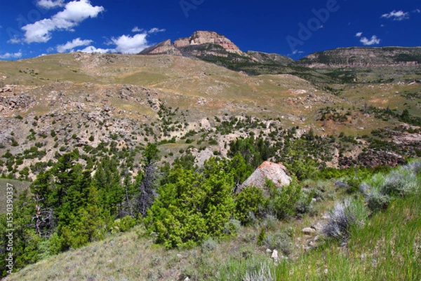 Obraz Rugged Mountain Scenery of Wyoming