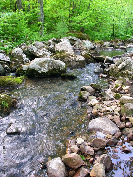 Obraz Baxters Hollow State Natural Area in Wisconsin
