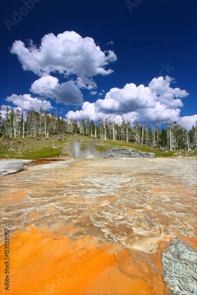 Obraz Bright colors of the thermal features near Grand Geyser of Yellowstone National Park