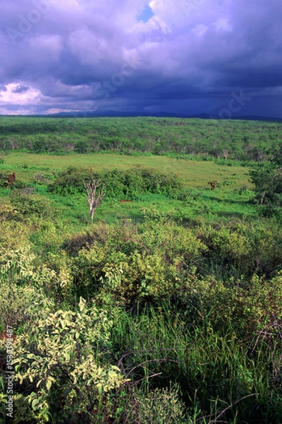 Obraz Santa Cruz Island Scenery in the Galapagos Islands
