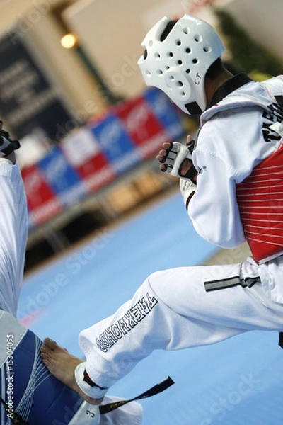 Obraz taekwondo