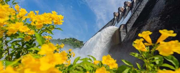 Obraz The dam is releasing water with beautiful yellow flowers.