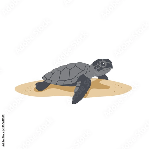 Fototapeta A baby sea turtle emerging from the sandy beach, heading towards the ocean waves