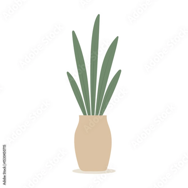 Obraz House plants in pots. Element for design house, room or office. Isolated element on white background.