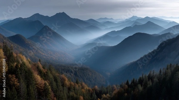 Obraz Misty mountain range with colorful autumn forest.