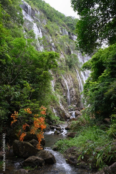 Obraz Natural scenery of streams and waterfalls in the mountains and forests
