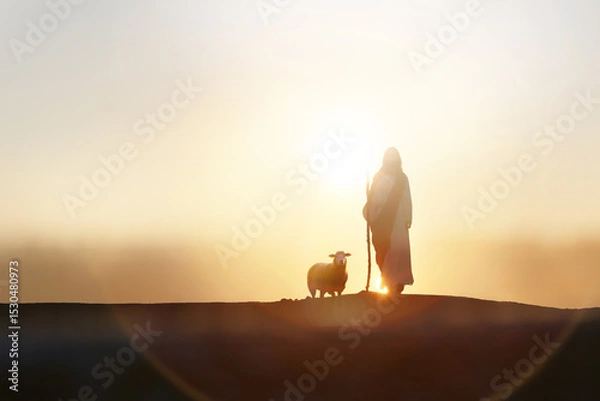 Obraz Shepherd Jesus Christ walking with sheep in wide meadow, silhouette with brilliant sun sunset, Jesus and sheep background
