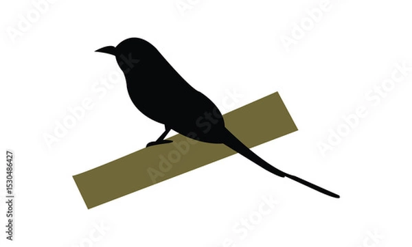 Fototapeta Amazonian motmot bird Silhouette Design  And Vector Illustration. 
