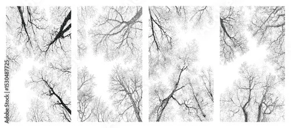 Fototapeta Bare tree silhouette vector pack textured halftone stipple branches view from below artistic winter forest transparent background natural ink style hand drawn trees