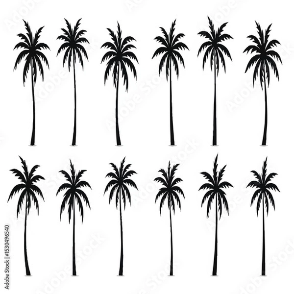 Obraz Tropical palm trees set silhouettes with white background.




