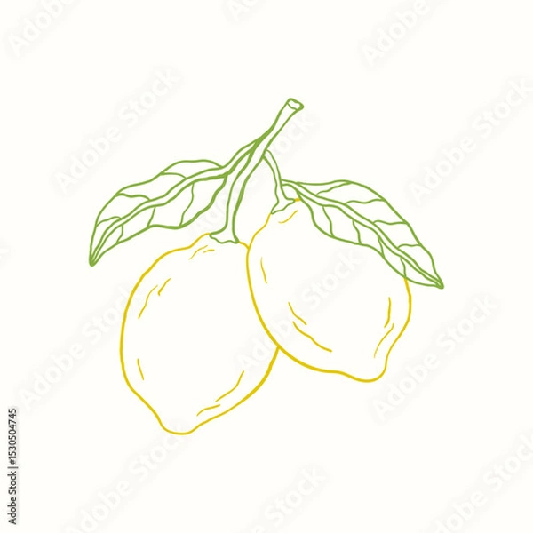 Obraz Doodle sketch illustration of lemon. Citrus tropical fruit