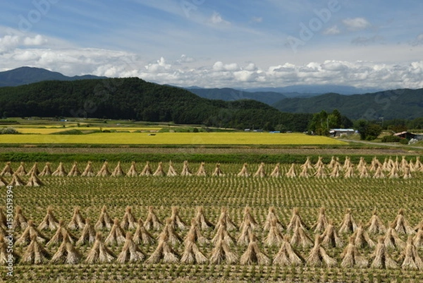 Obraz 里山とわらぼっち