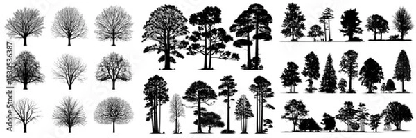 Fototapeta A set of modern illustrations featuring detailed silhouettes of trees in various shapes, isolated on a white background in EPS10 format
