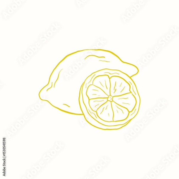 Obraz Vector illustration of a lemon and a slice of lemon. Tropical citrus fruit