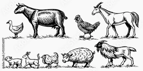 Fototapeta Monochrome Illustration of Farm Animals and Wildlife in a Field Drawn with Ink for a Vintage Look and Feel