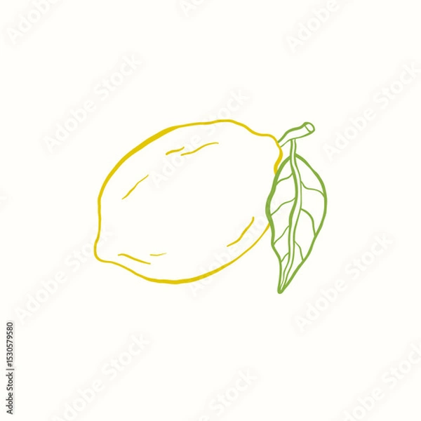 Obraz Vector doodle illustration of citrus fruit lemon